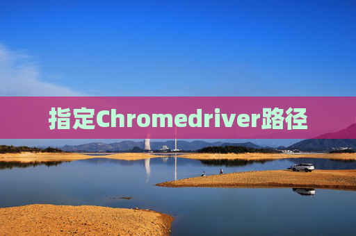 指定Chromedriver路径